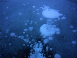 Bubble