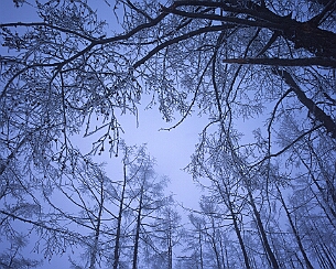 20180315_0330