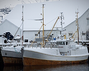 DSC_0915