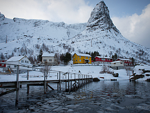 Reine