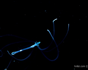 20171201_0078