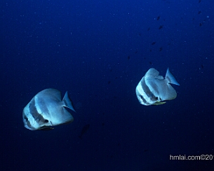 20120319_0039