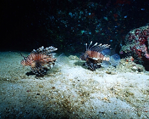 20120319_0202