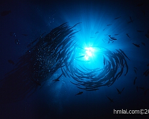 20110503_0448