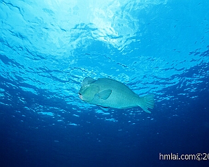 20110503_0279