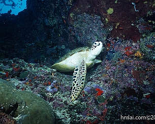 20110503_0152